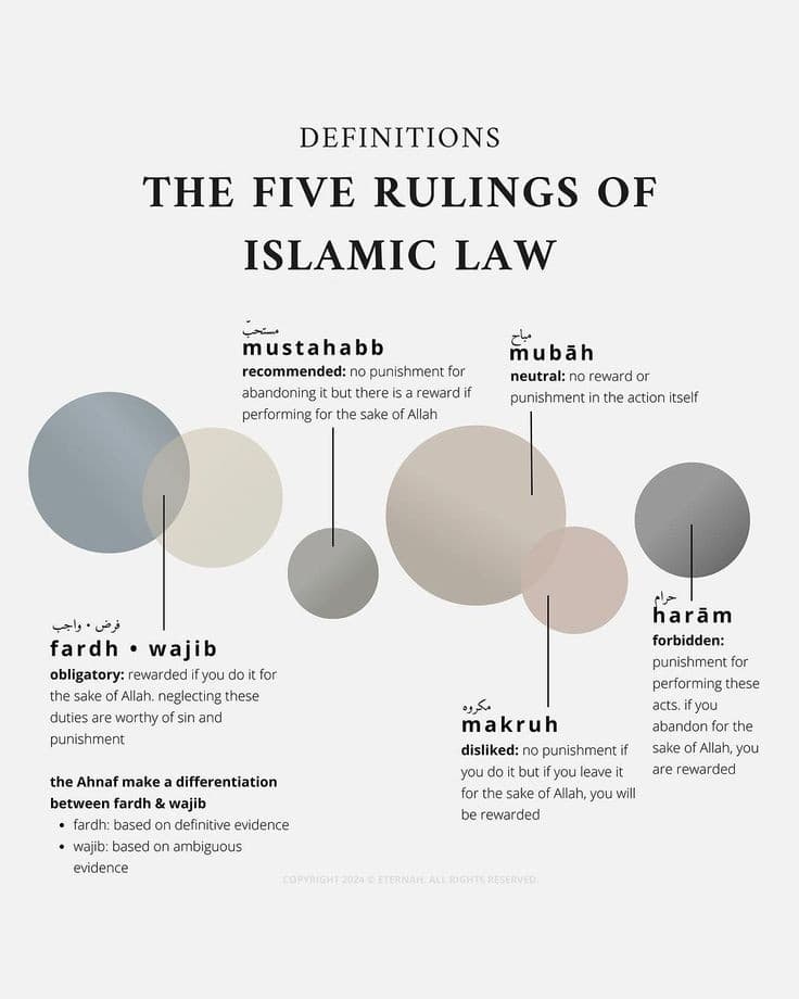 Islamic Lectures & Guidance