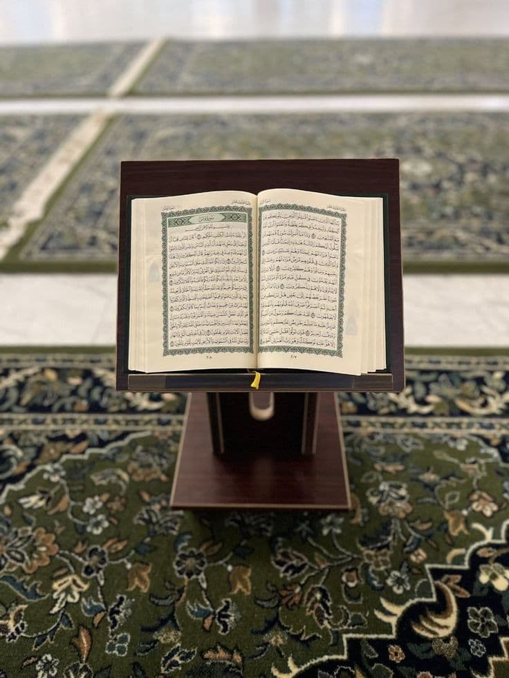 Open Quran with pen, symbolizing learning and teaching
