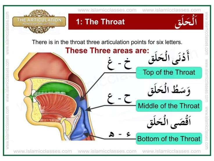 Tajweed Course